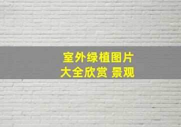 室外绿植图片大全欣赏 景观